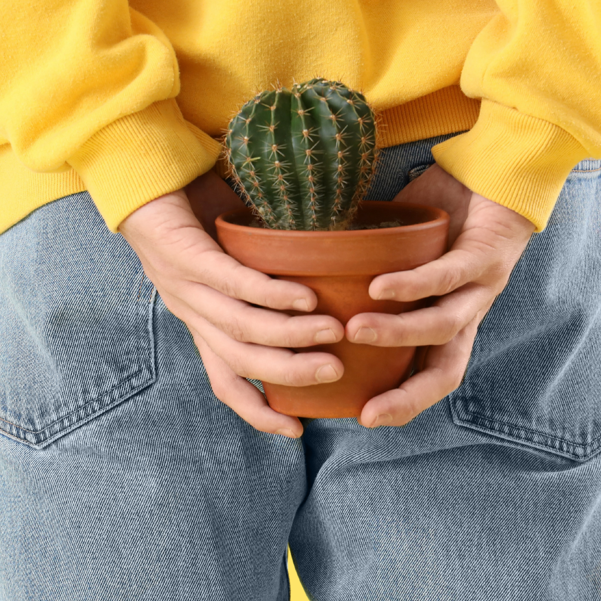 AnaThol Bitkisel Onarıcı, Düzenleyici Sprey